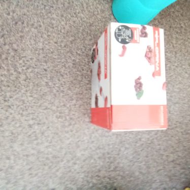 Kauliukų išėmėjas