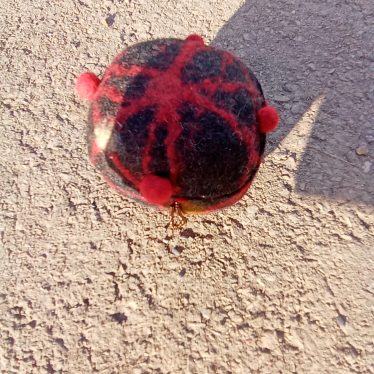 Papuošalų dėžutė