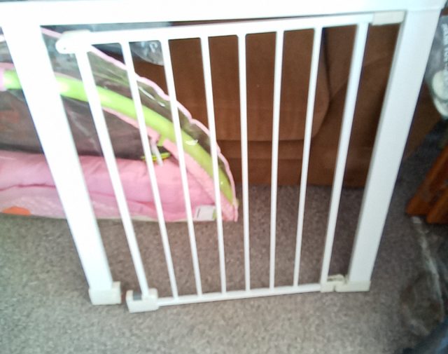 Apsauginiai varteliai