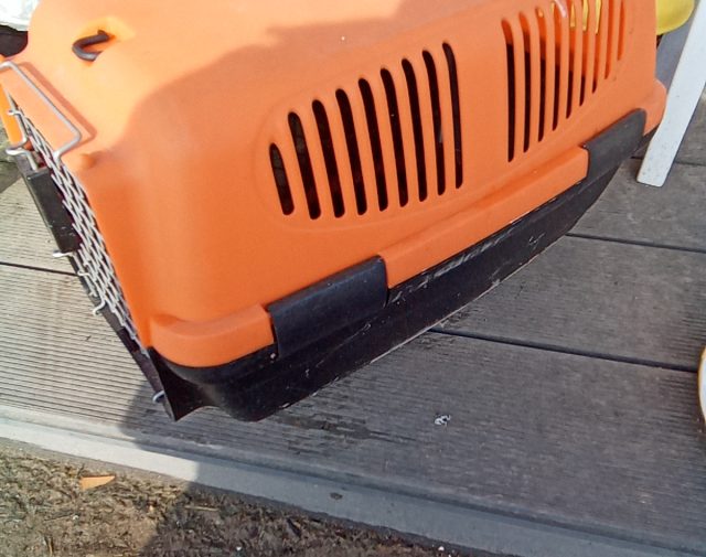 Kelioninis krepšys gyvūnui