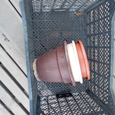 Plastikinė dėžė ir vazonai