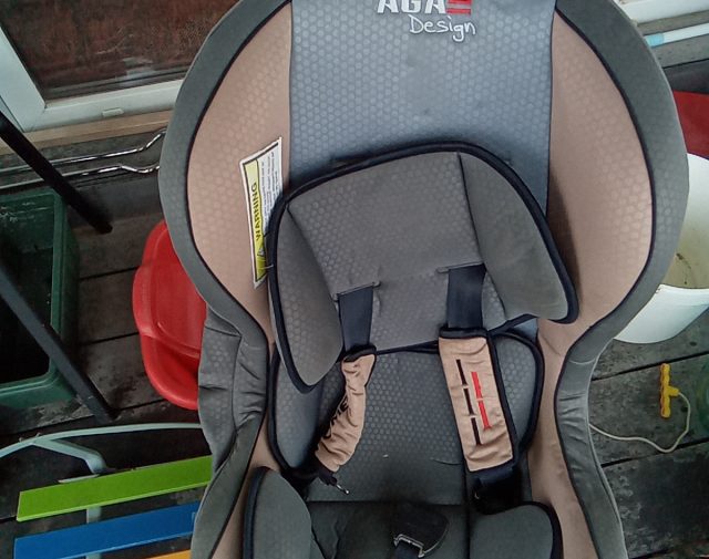 Automobilinė kėdutė