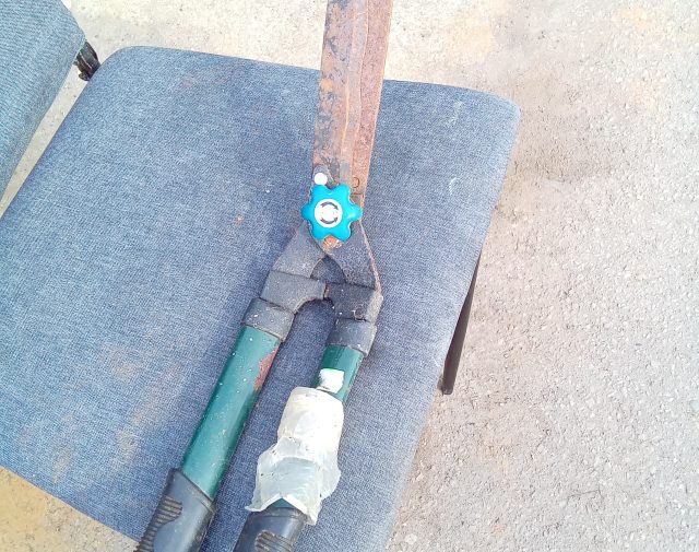 Žirklės gyvatvorei