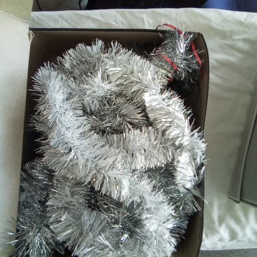 Kalediniai blizguciai