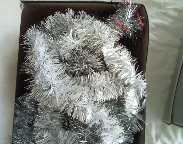 Kalediniai blizguciai