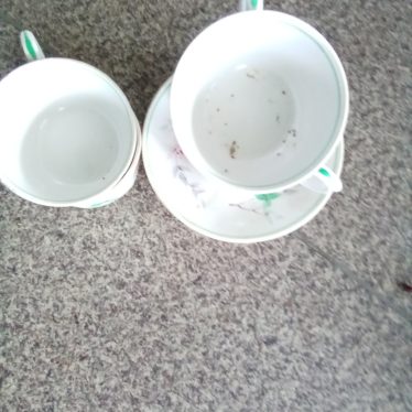 Puodeliai ir lėkštutės