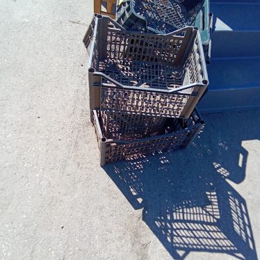 Plastikinės dėžutės