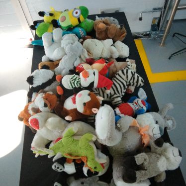 Pliušiniai žaislai