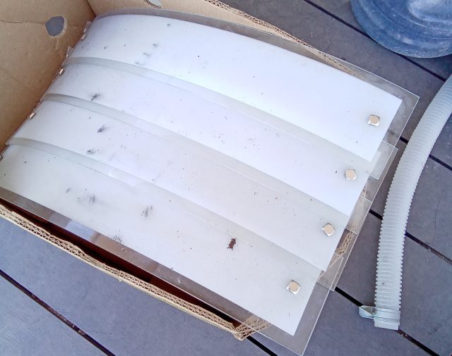 Sieniniai šviestuvai