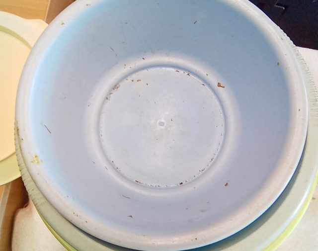 Plastikiniai dubenėliai