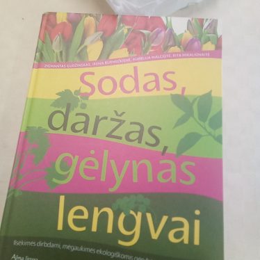 Knyga