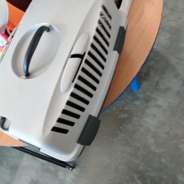 Transportavimo narvas