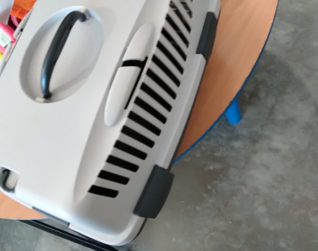 Transportavimo narvas