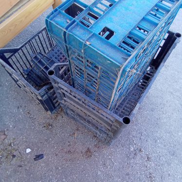 Plastikinės dėžutės