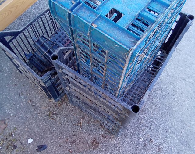 Plastikinės dėžutės