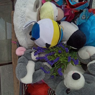 Pliušiniai žaislai
