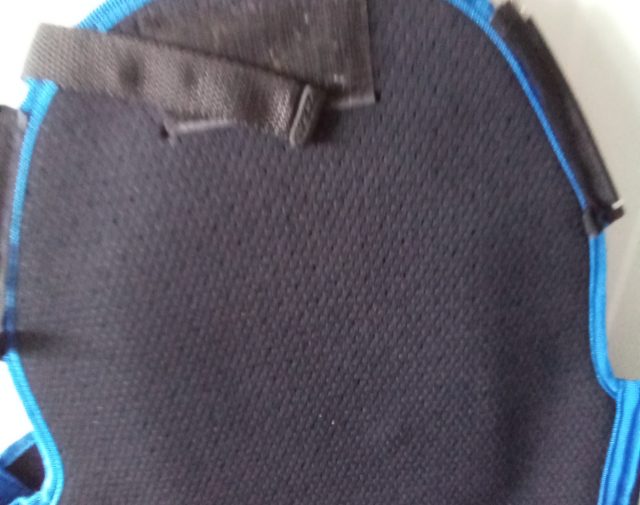Apsauga