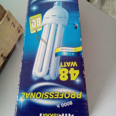 Lempą