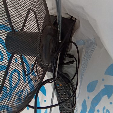 Antena