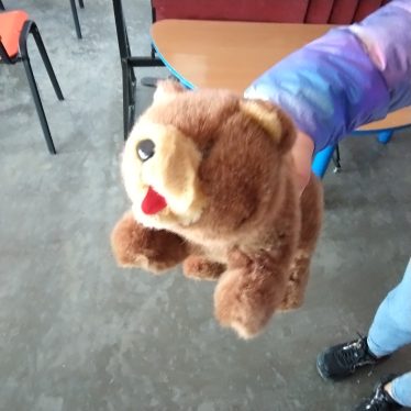 Žaislas