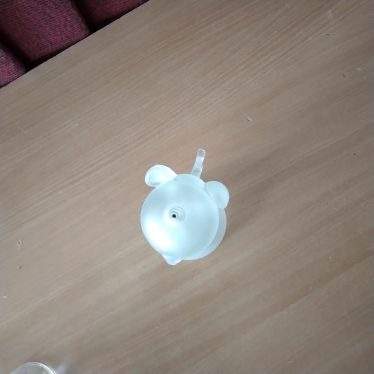 Puodelis