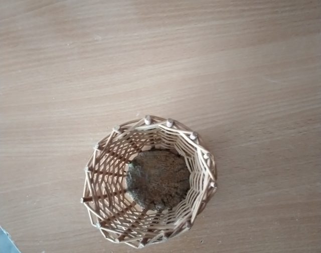 Pinta vaza