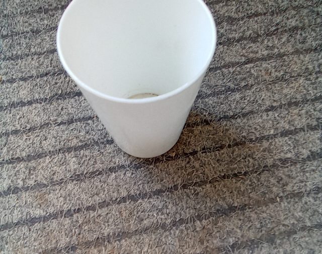Stiklinė