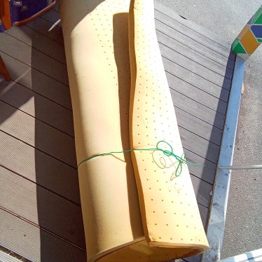 Paralonas