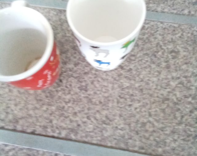Puodeliai