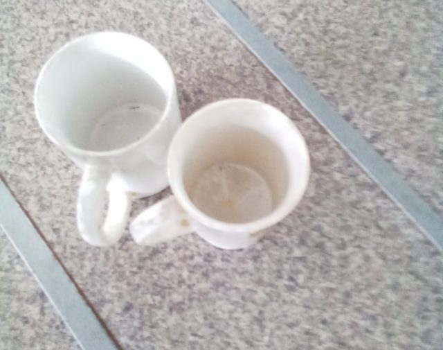 Puodeliai