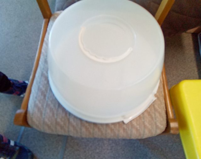Tortinė