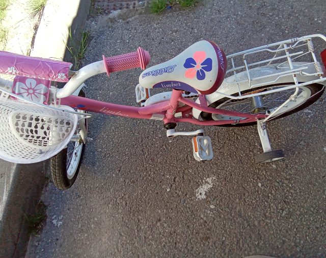 Dviratukas