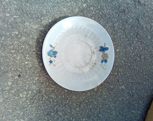 Lėkštutė
