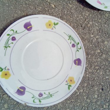 Lėkštutė