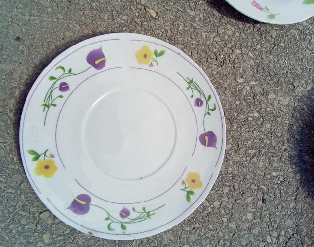 Lėkštutė