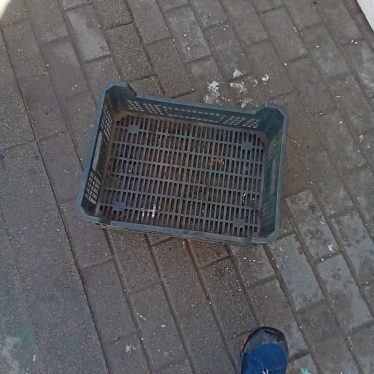 Plastikinė dėžutė