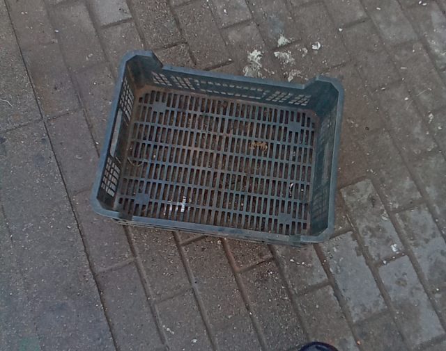 Plastikinė dėžutė