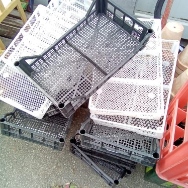 Plastikinė dėžė
