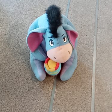 Minkštas žaislas