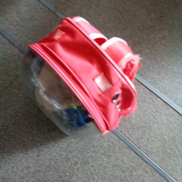 Transportavimo narvas
