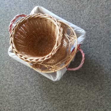 Pintinė