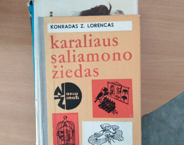 Knyga