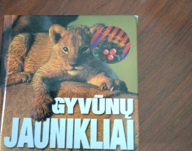 Knyga