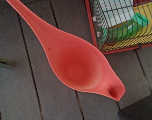 Laistytuvas