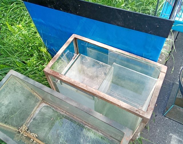 Akvariumai