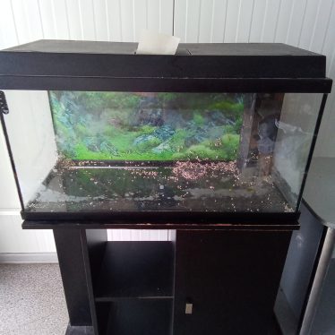 Akvariumas