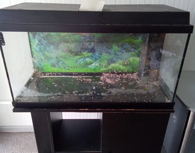 Akvariumas