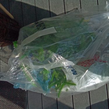Plastikinė egle