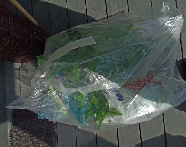 Plastikinė egle