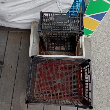 Plastmasinês dêžutės